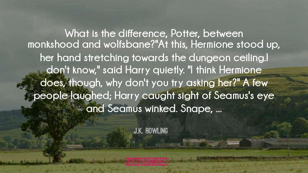 Seamus Dourke quotes by J.K. Rowling