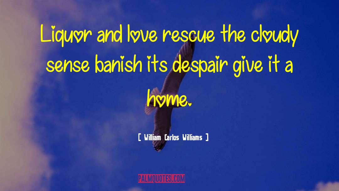 Search And Rescue quotes by William Carlos Williams