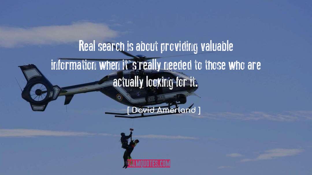 Search Engine Optimisation quotes by David Amerland