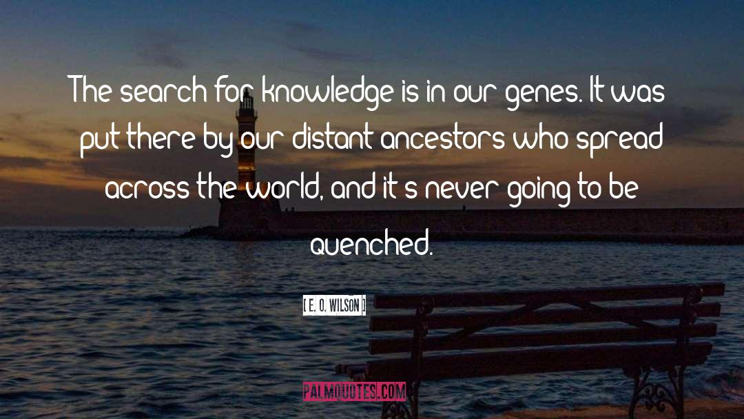 Search For Knowledge quotes by E. O. Wilson