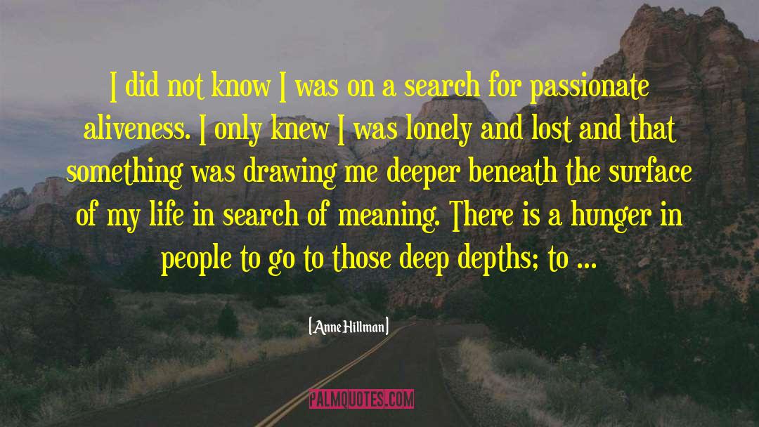 Search For Meaning quotes by Anne Hillman