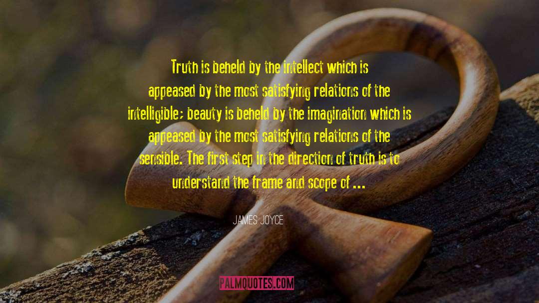 Search Of Truth quotes by James Joyce