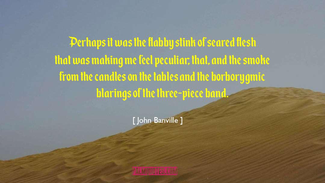 Seared Scallop quotes by John Banville