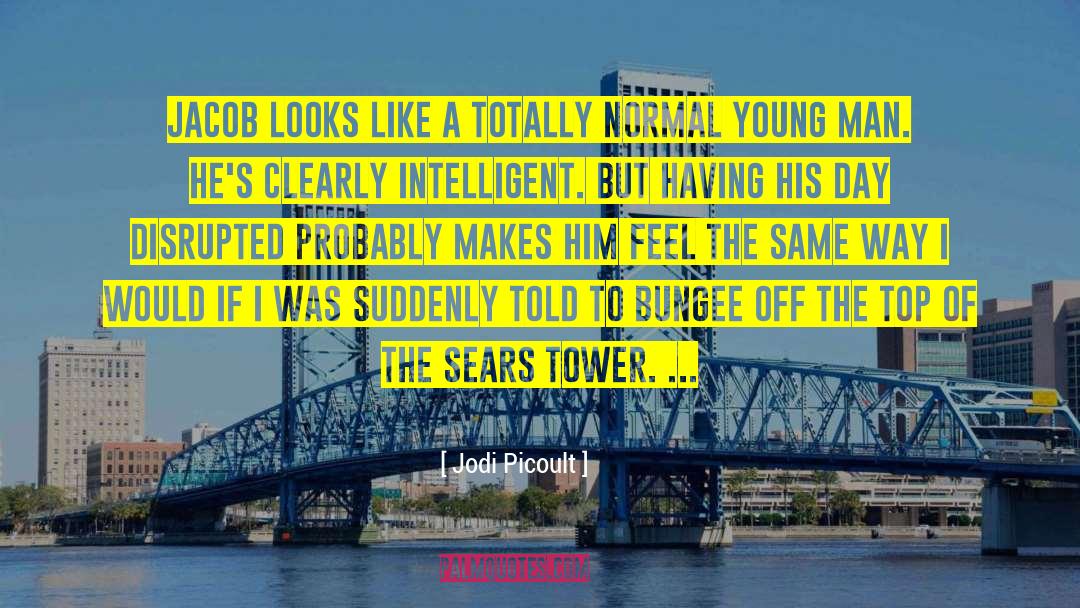 Sears Tower quotes by Jodi Picoult