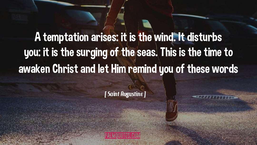 Seas quotes by Saint Augustine