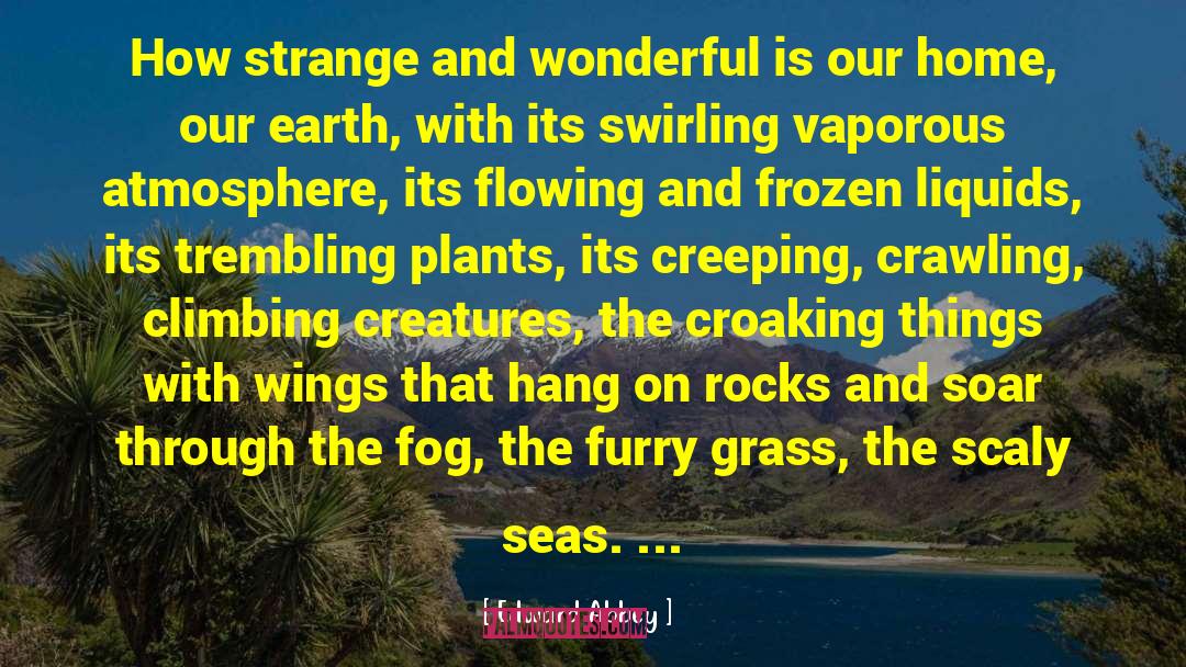 Seas quotes by Edward Abbey