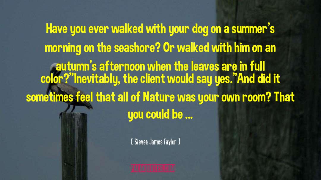 Seashore quotes by Steven James Taylor