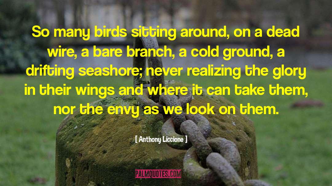 Seashore quotes by Anthony Liccione