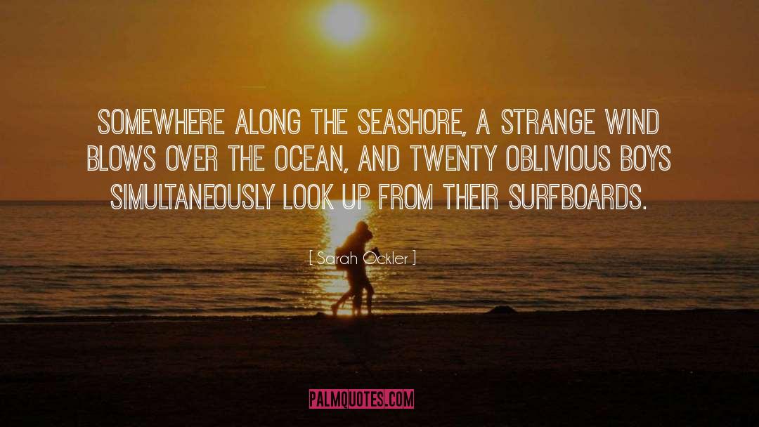 Seashore quotes by Sarah Ockler