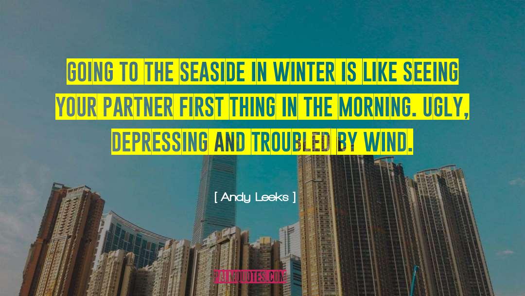 Seaside quotes by Andy Leeks