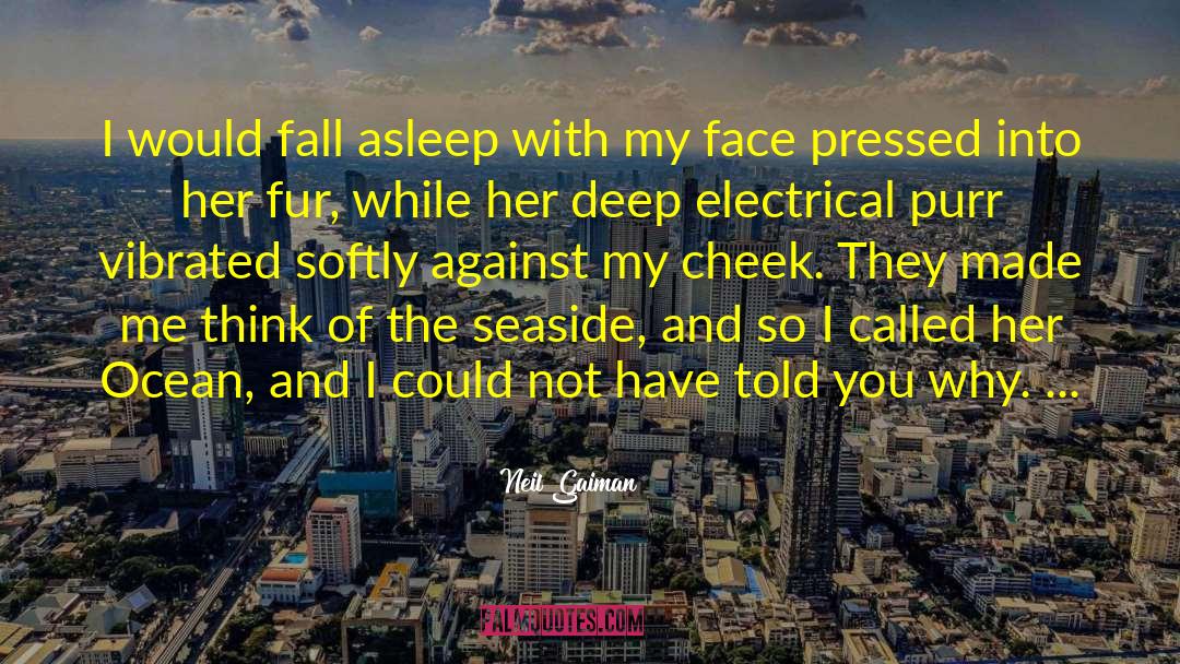 Seaside quotes by Neil Gaiman