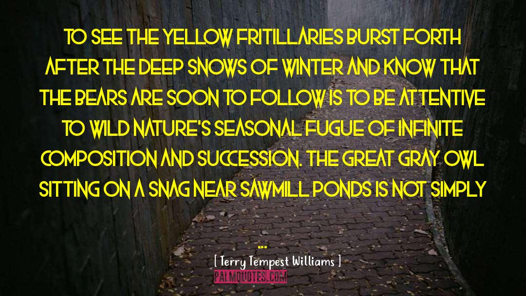 Seasonal quotes by Terry Tempest Williams