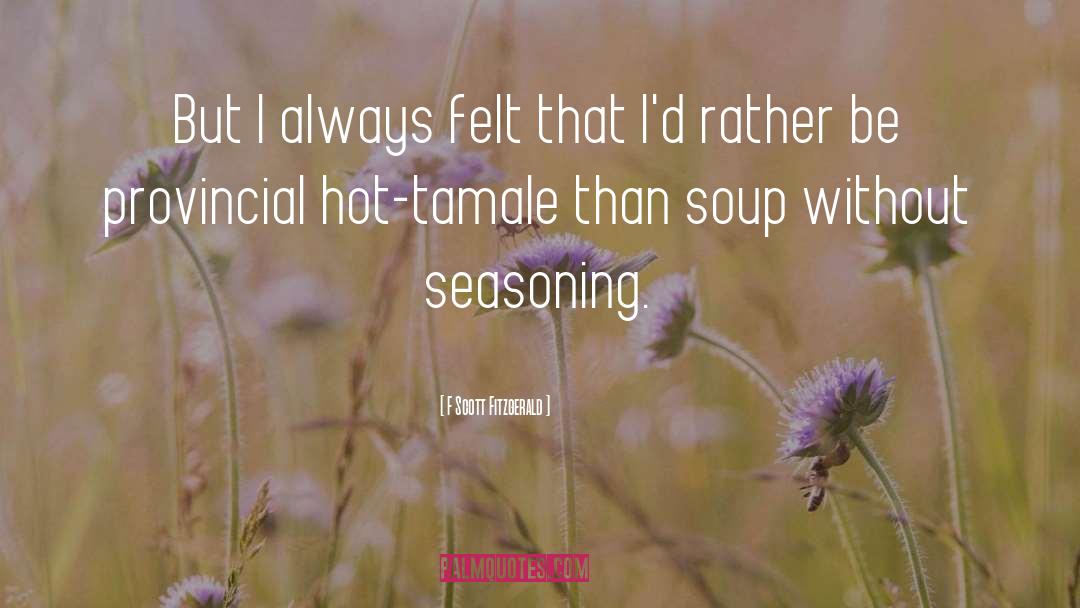 Seasoning quotes by F Scott Fitzgerald