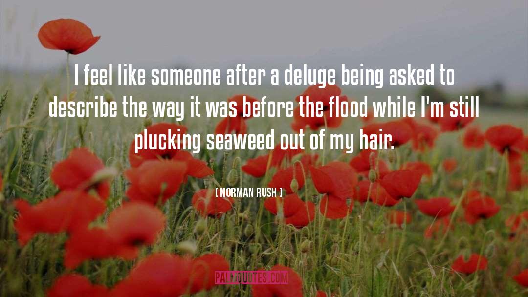 Seaweed quotes by Norman Rush