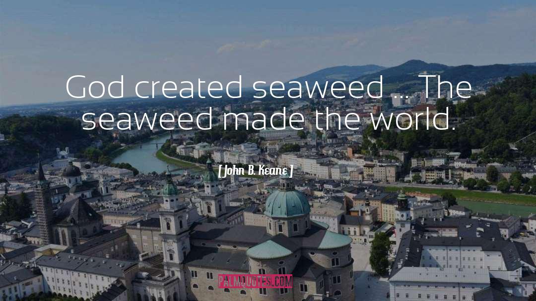 Seaweed quotes by John B. Keane