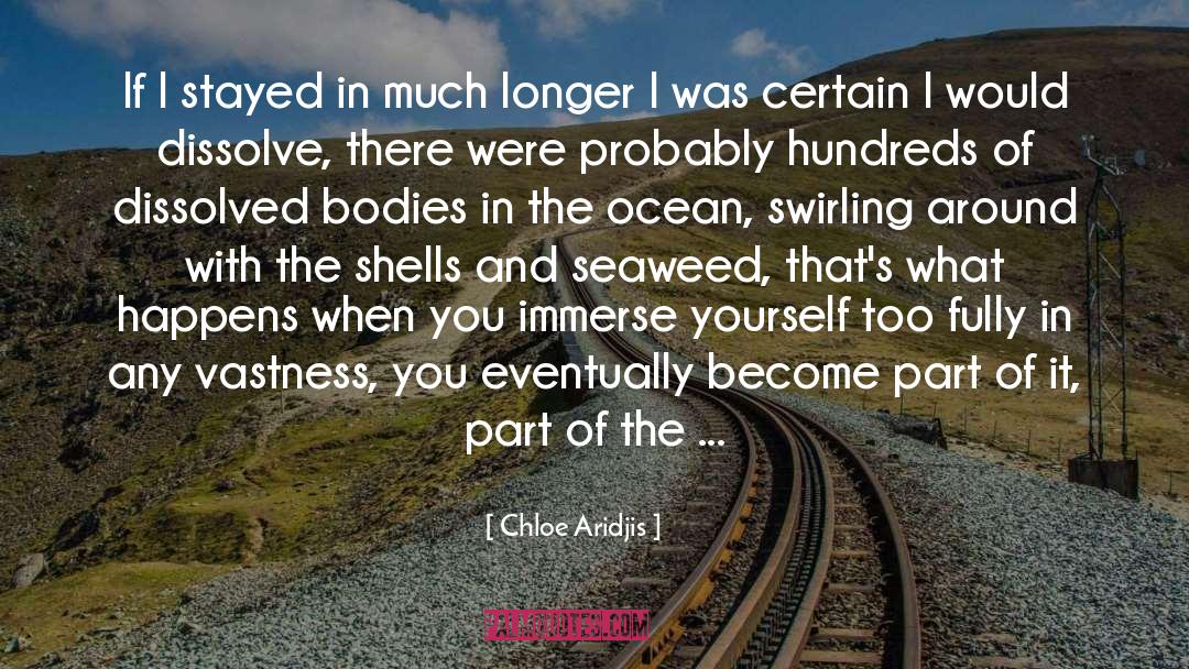 Seaweed quotes by Chloe Aridjis