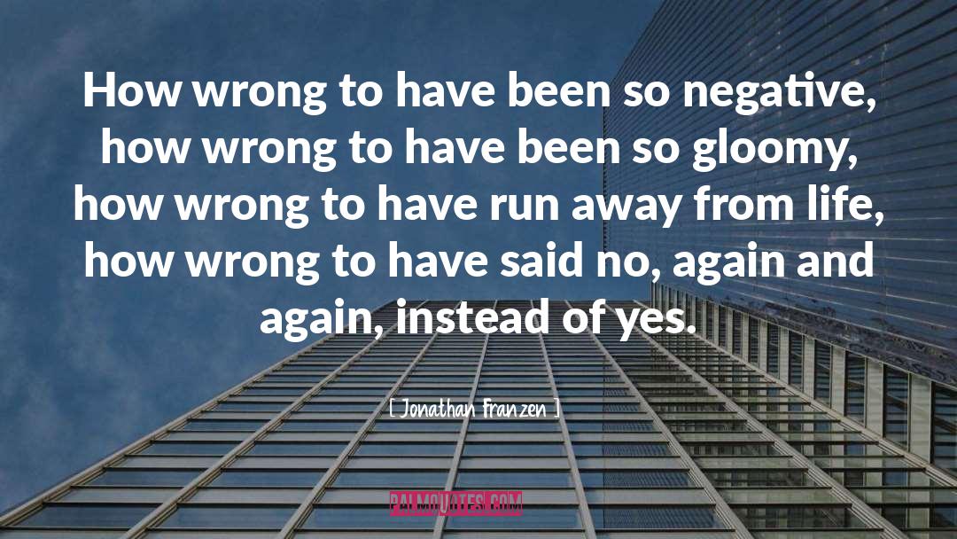 Sebastian Jonathan quotes by Jonathan Franzen