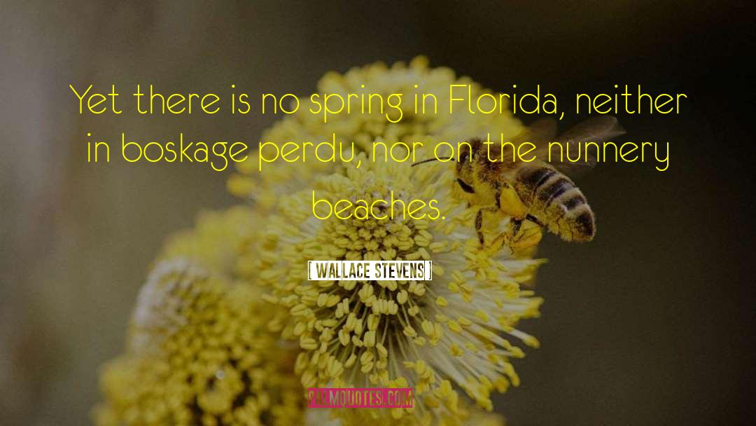 Sebring Florida quotes by Wallace Stevens