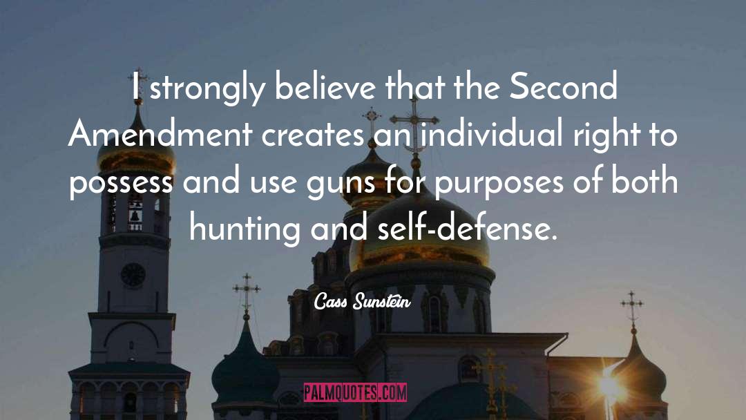 Second Amendment quotes by Cass Sunstein