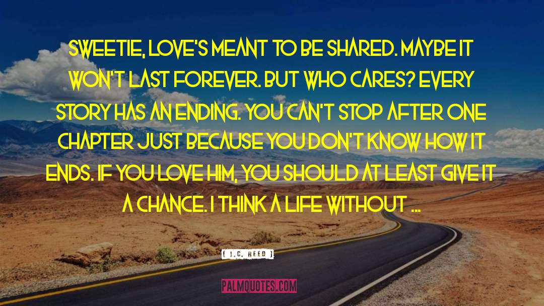 Second Chance At Love Story quotes by J.C. Reed