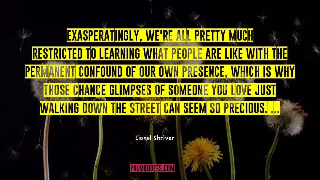 Second Chance Love quotes by Lionel Shriver