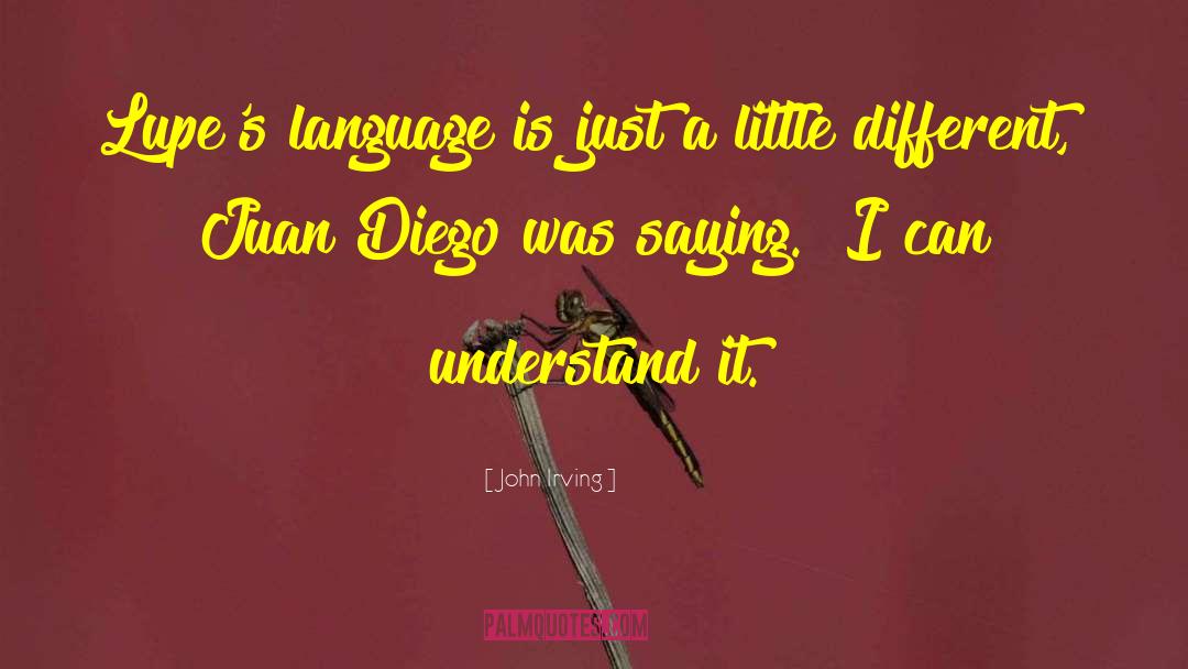Second Language quotes by John Irving