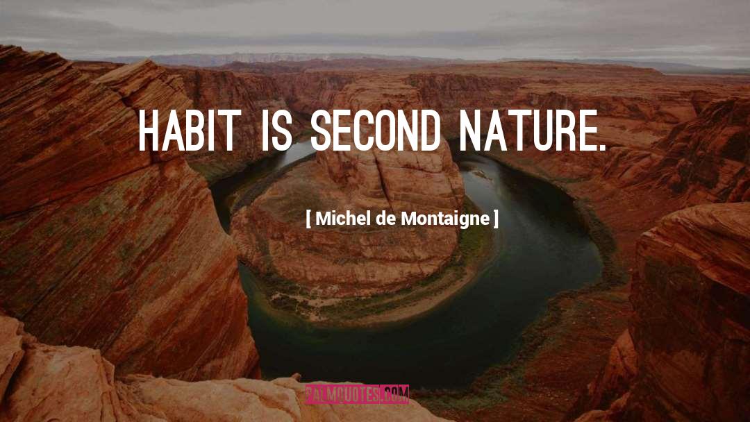 Second Nature quotes by Michel De Montaigne