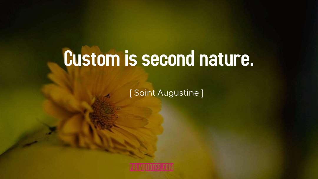 Second Nature quotes by Saint Augustine