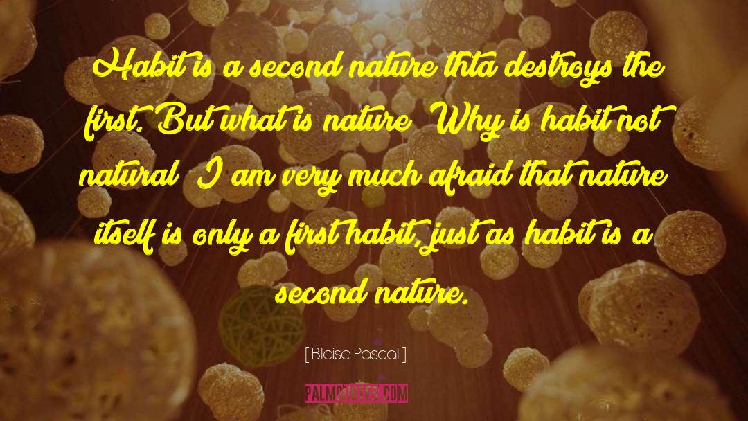 Second Nature quotes by Blaise Pascal