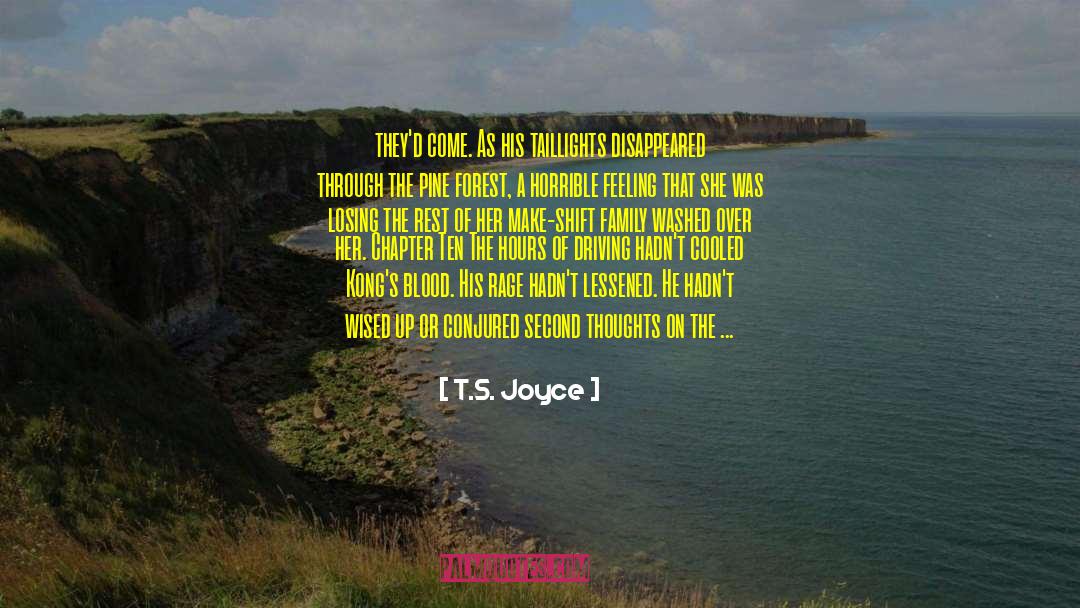 Second Thoughts quotes by T.S. Joyce