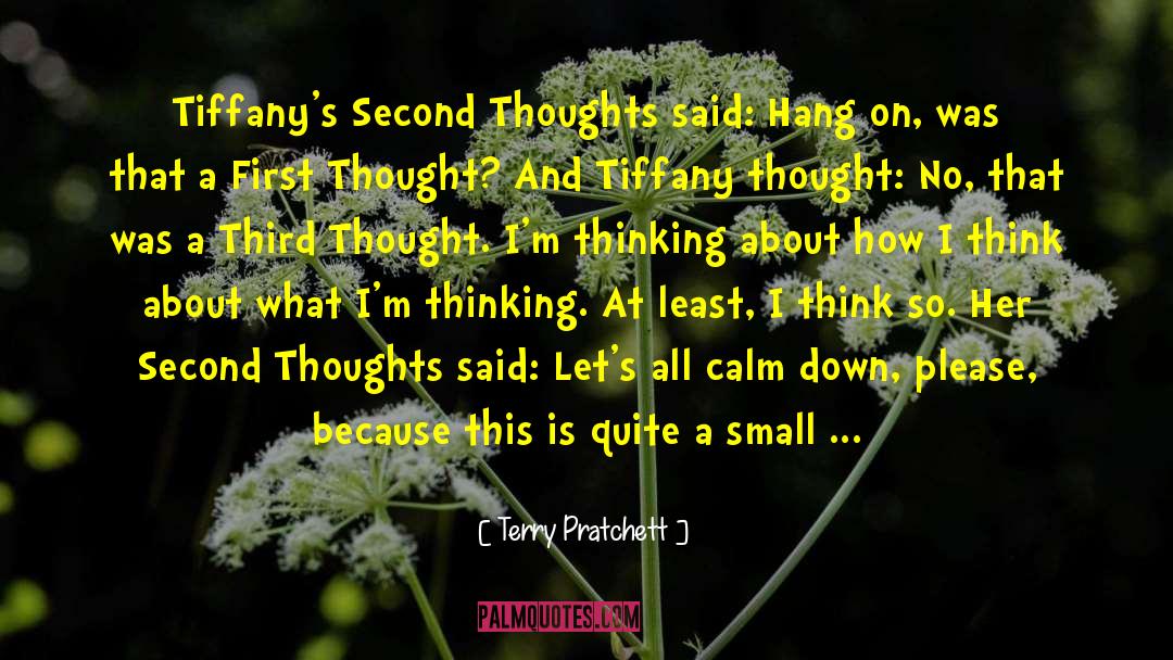 Second Thoughts quotes by Terry Pratchett