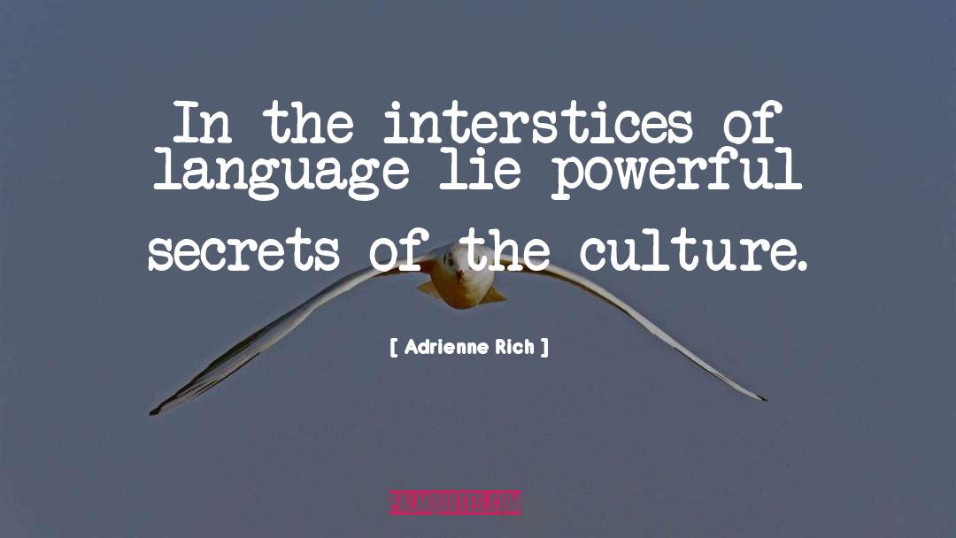 Secret Affairs quotes by Adrienne Rich