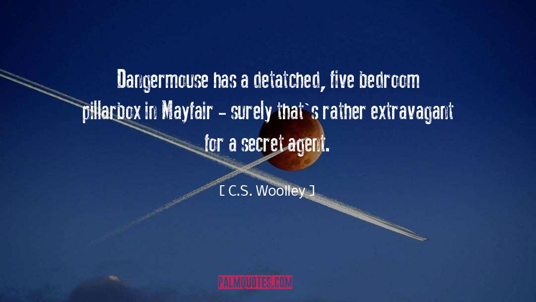 Secret Agent quotes by C.S. Woolley