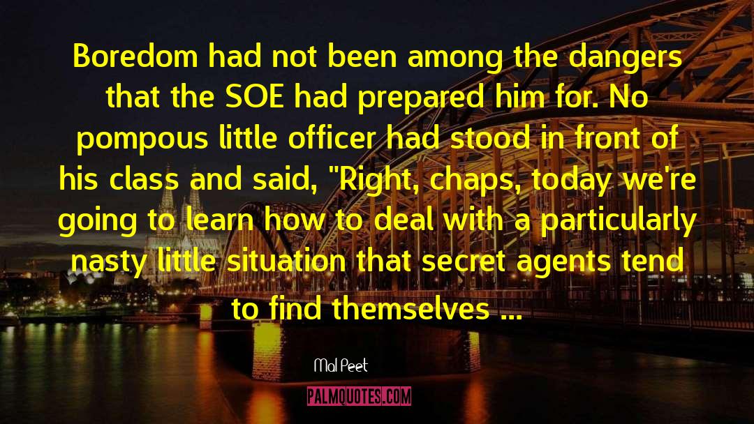 Secret Agents quotes by Mal Peet