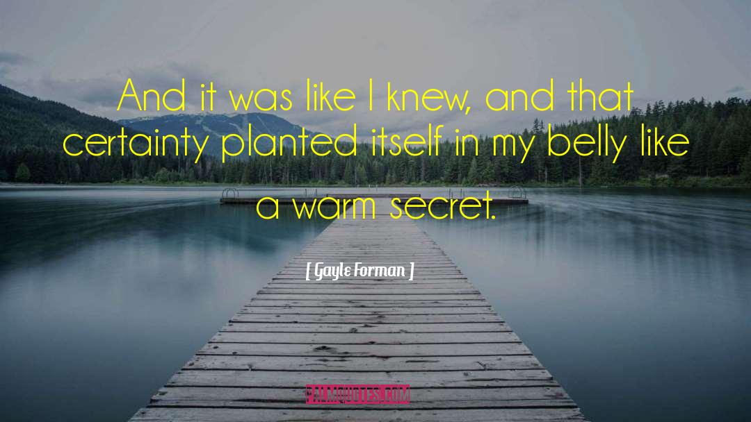 Secret Agents quotes by Gayle Forman