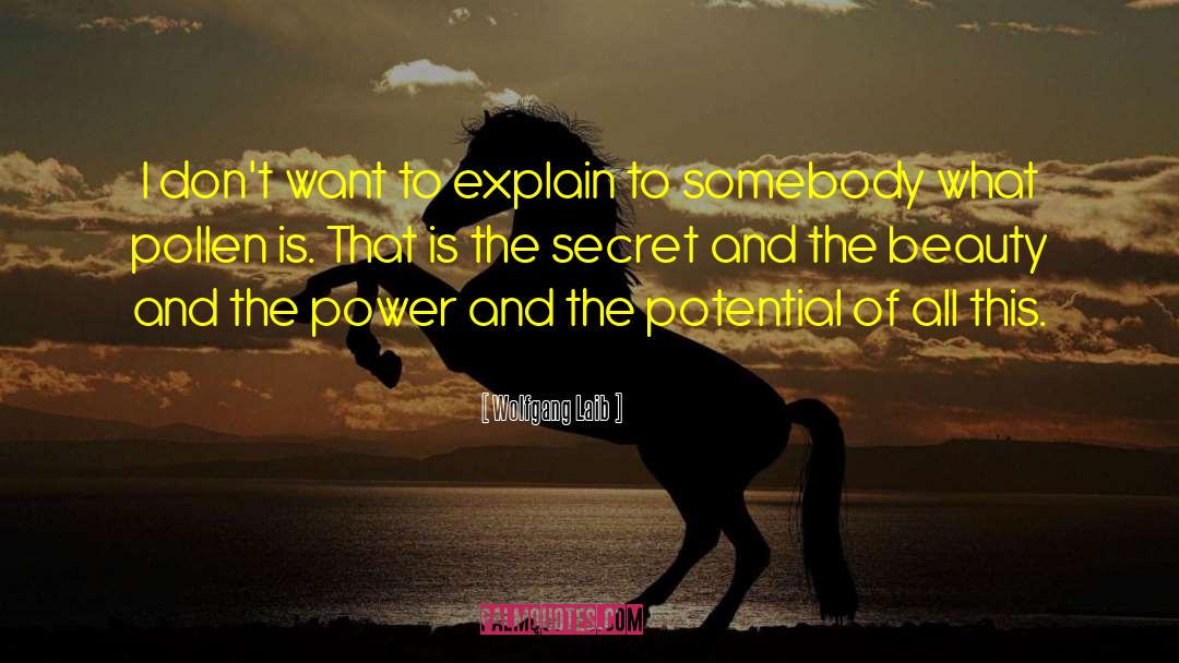 Secret Beauty Of The Universe quotes by Wolfgang Laib