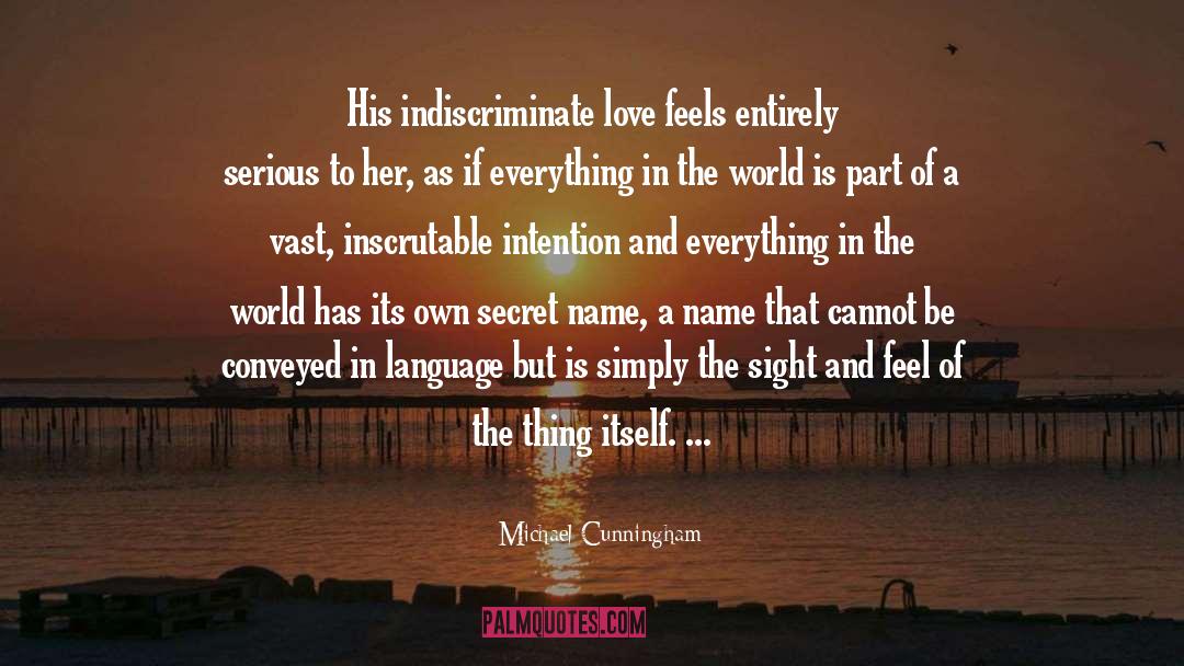 Secret Desire quotes by Michael Cunningham