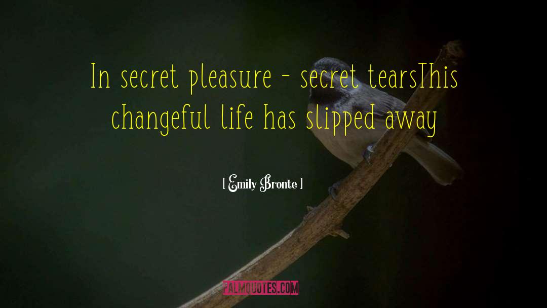 Secret Earth quotes by Emily Bronte