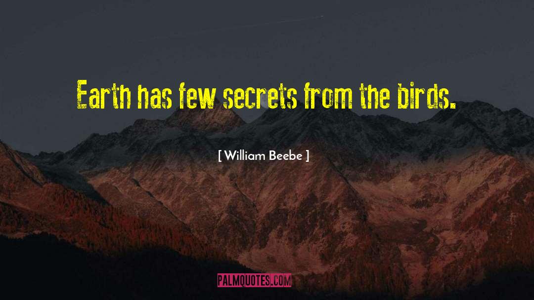 Secret Earth quotes by William Beebe