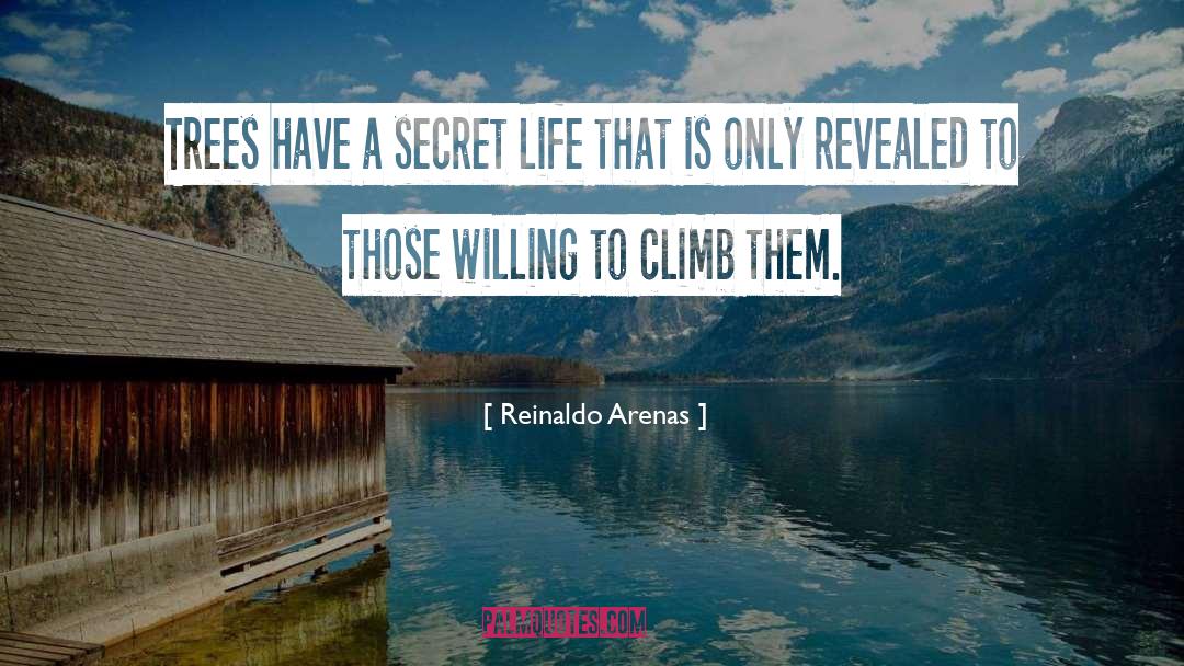 Secret Life quotes by Reinaldo Arenas