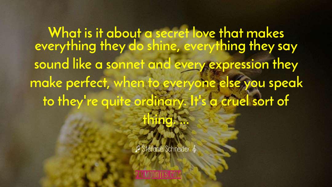 Secret Love quotes by Stefanie Schneider