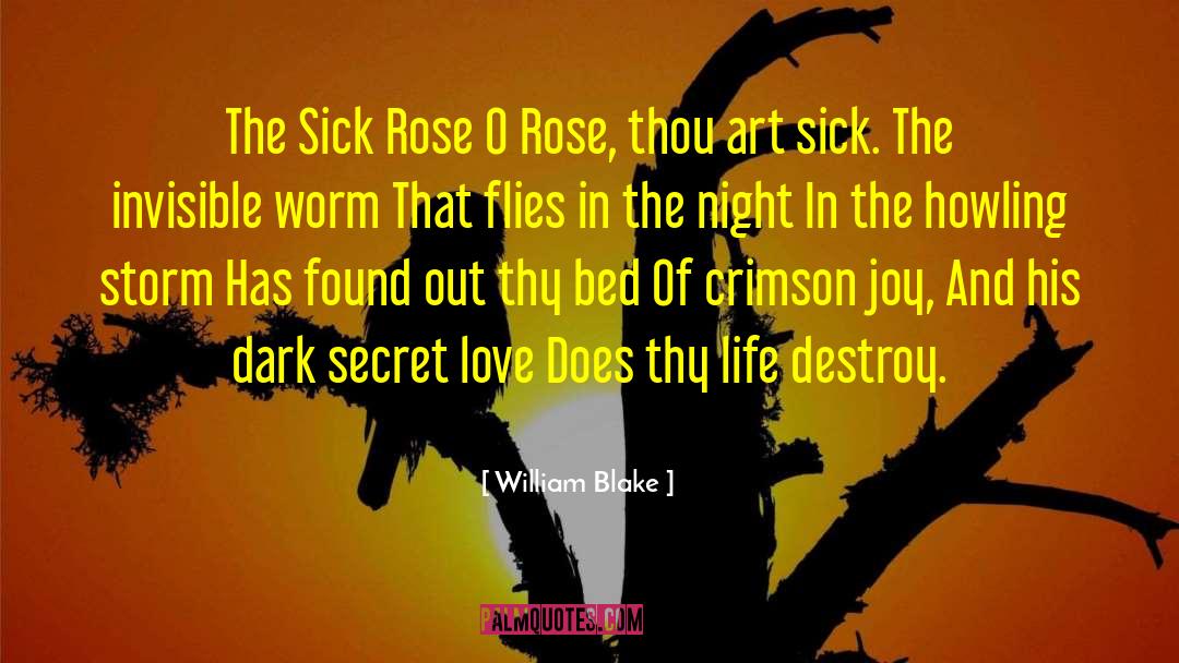 Secret Love quotes by William Blake