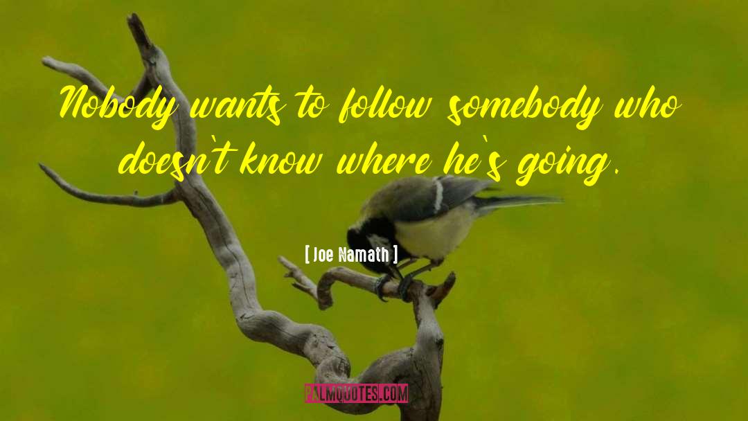 Secret Lover quotes by Joe Namath