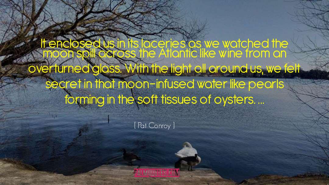 Secret Of Happiness quotes by Pat Conroy