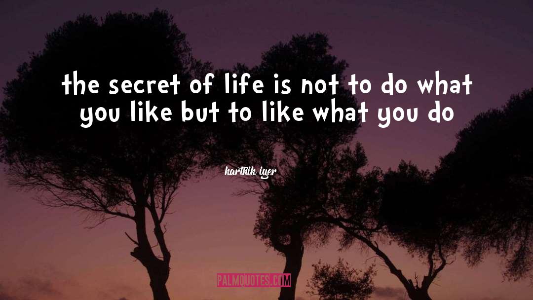 Secret Of Life quotes by Karthik Iyer