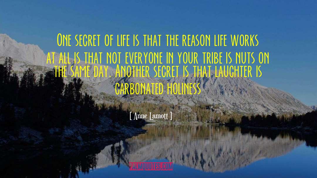 Secret Of Life quotes by Anne Lamott