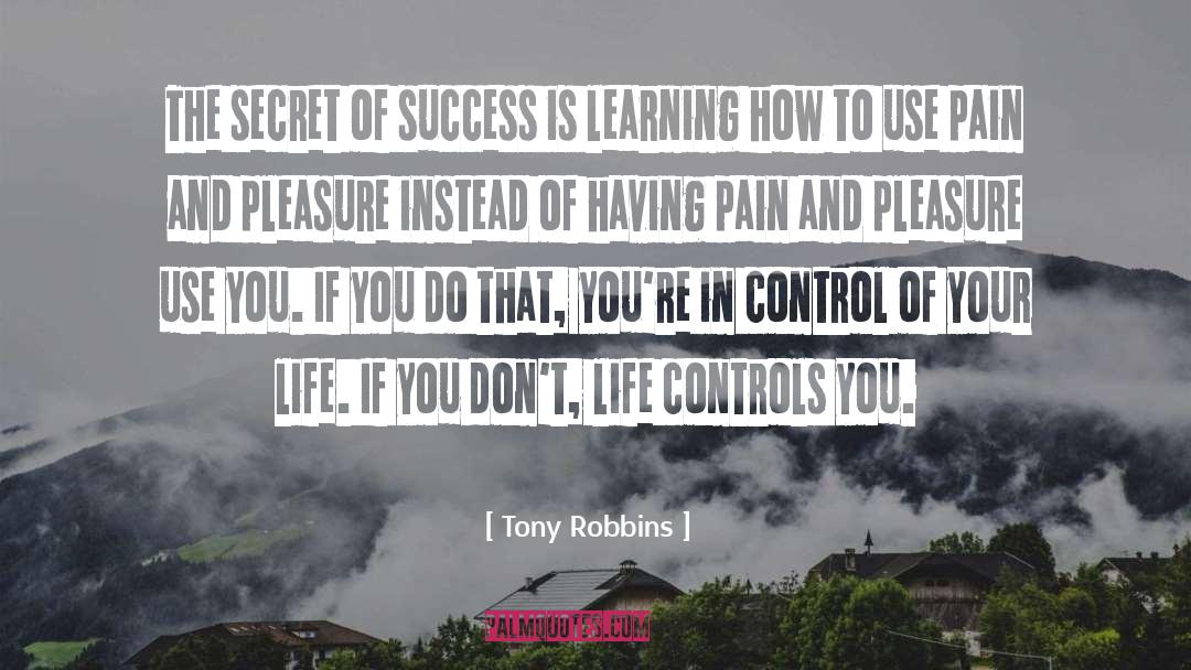Secret Of Success quotes by Tony Robbins