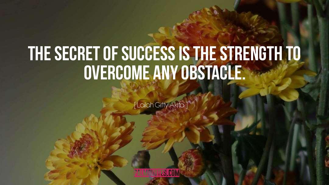 Secret Of Success quotes by Lailah Gifty Akita