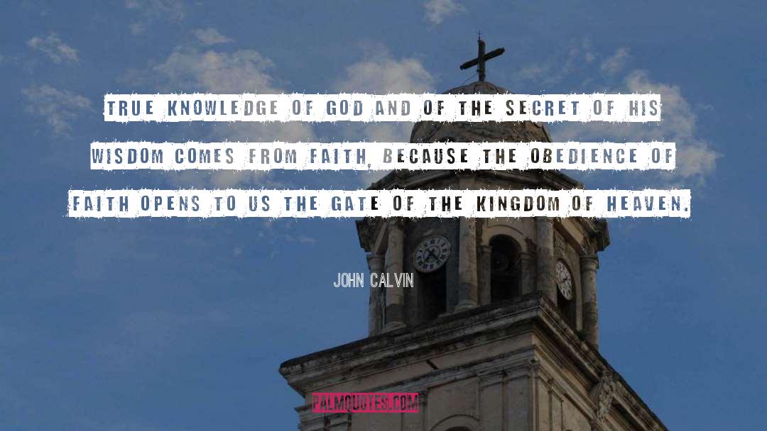 Secret Origins quotes by John Calvin