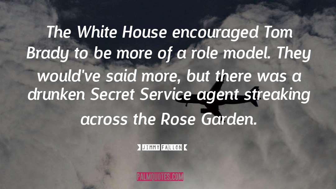 Secret Service quotes by Jimmy Fallon